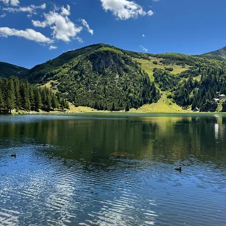 Apartment Prokosko Jezero Zlatna Koliba